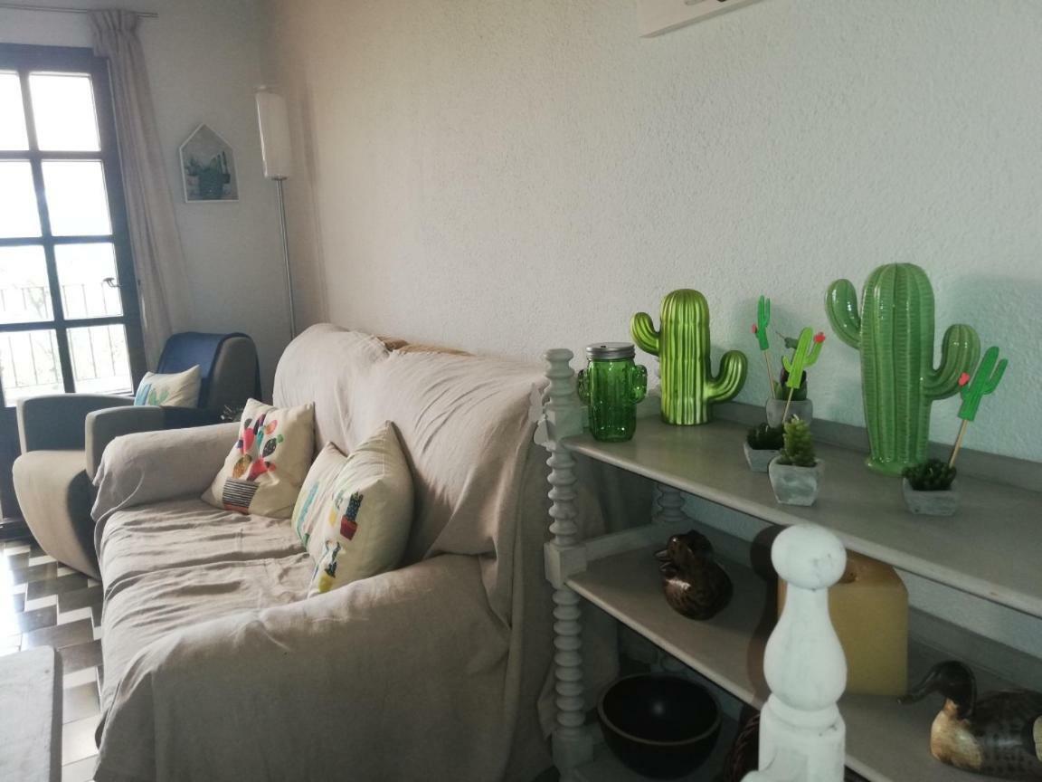 Can Cactus การ์ริเกญา ภายนอก รูปภาพ